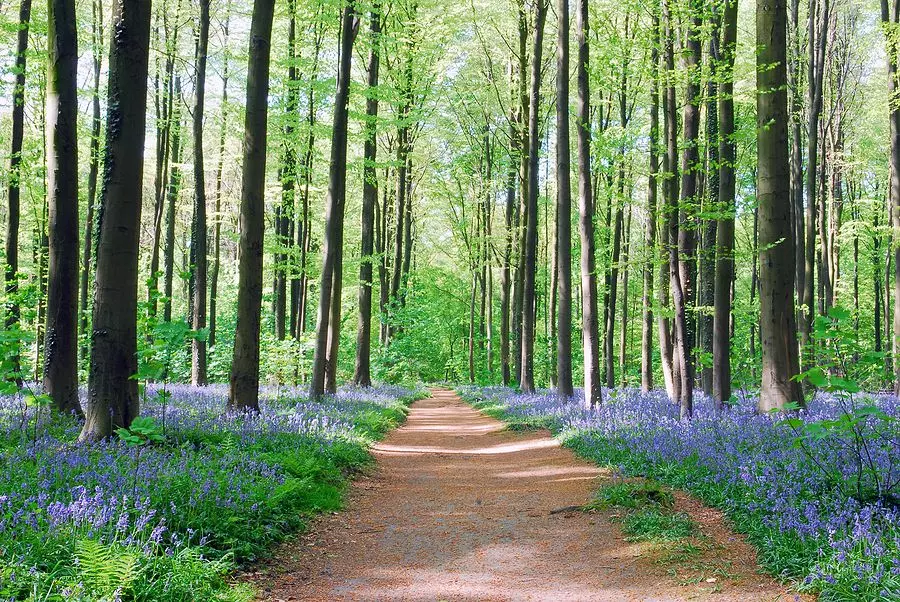 Time Spent in Nature - Reasons To Choose A Canal Boat Holiday